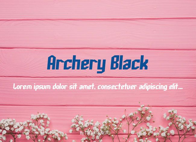 Archery Black example